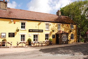 The Golden Lion